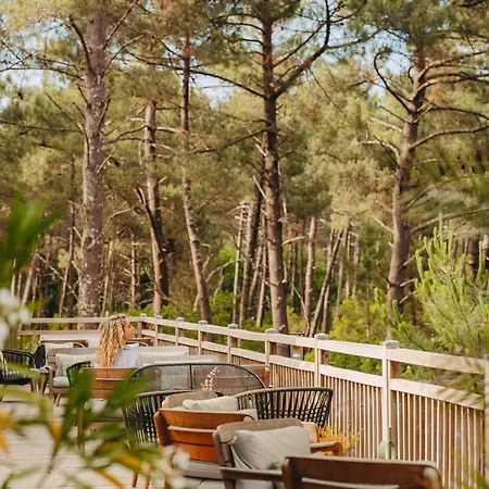 Domaine Du Ferret Restaurant & 4*