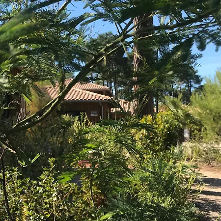 Appart hôtel Domaine Du Ferret Balnéo&spa