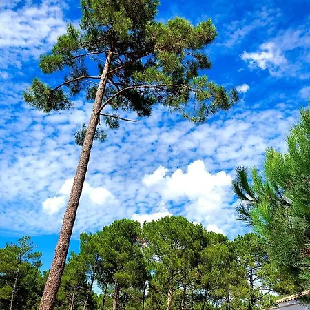 Domaine Du Ferret Restaurant & 4* Lège-Cap-Ferret