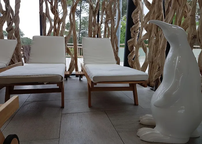 Lägenhetshotell Domaine Du Ferret Restaurant & 4*